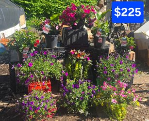 Beautiful Flower Bundle