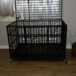 Dog Kennel 