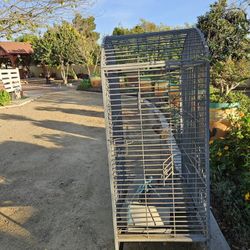 Bird Cage