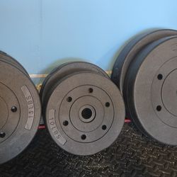 100lb Vinyl Workout Weight Plates 
