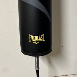 Everlast Punching Bag