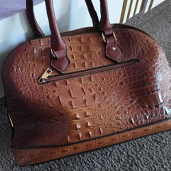 Crocodile Hornback Purse