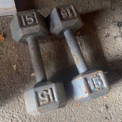 15lb Dumbells 