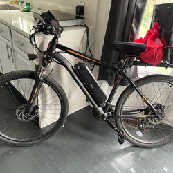 Electric Bike 