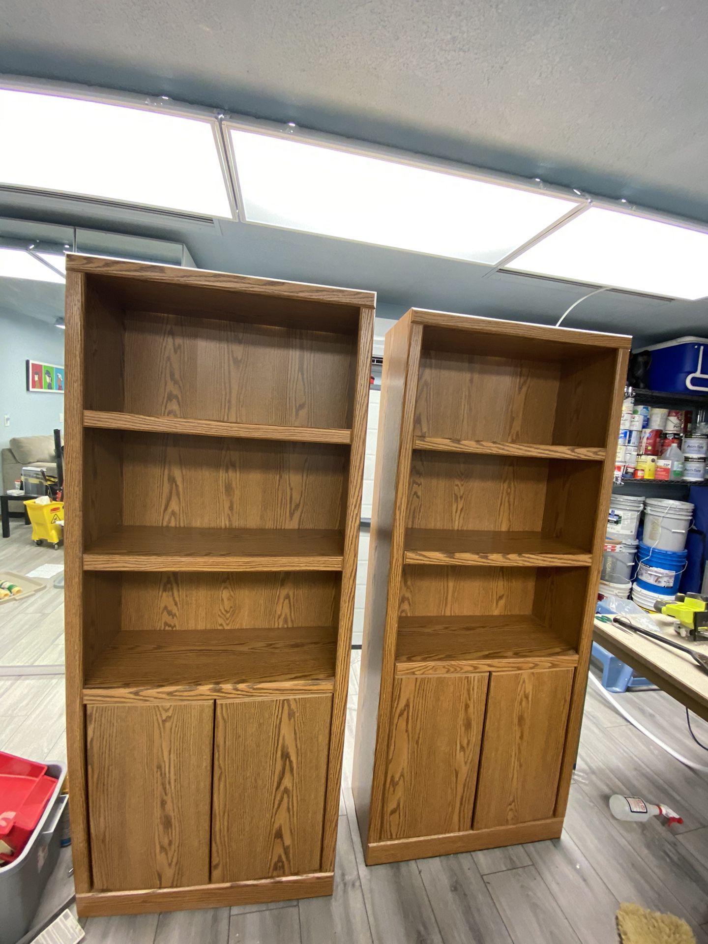 Storage Cabinets with Shelves