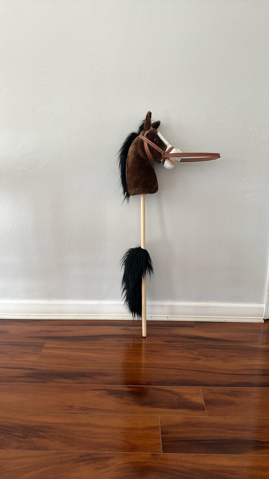 Horse Riding Stick
