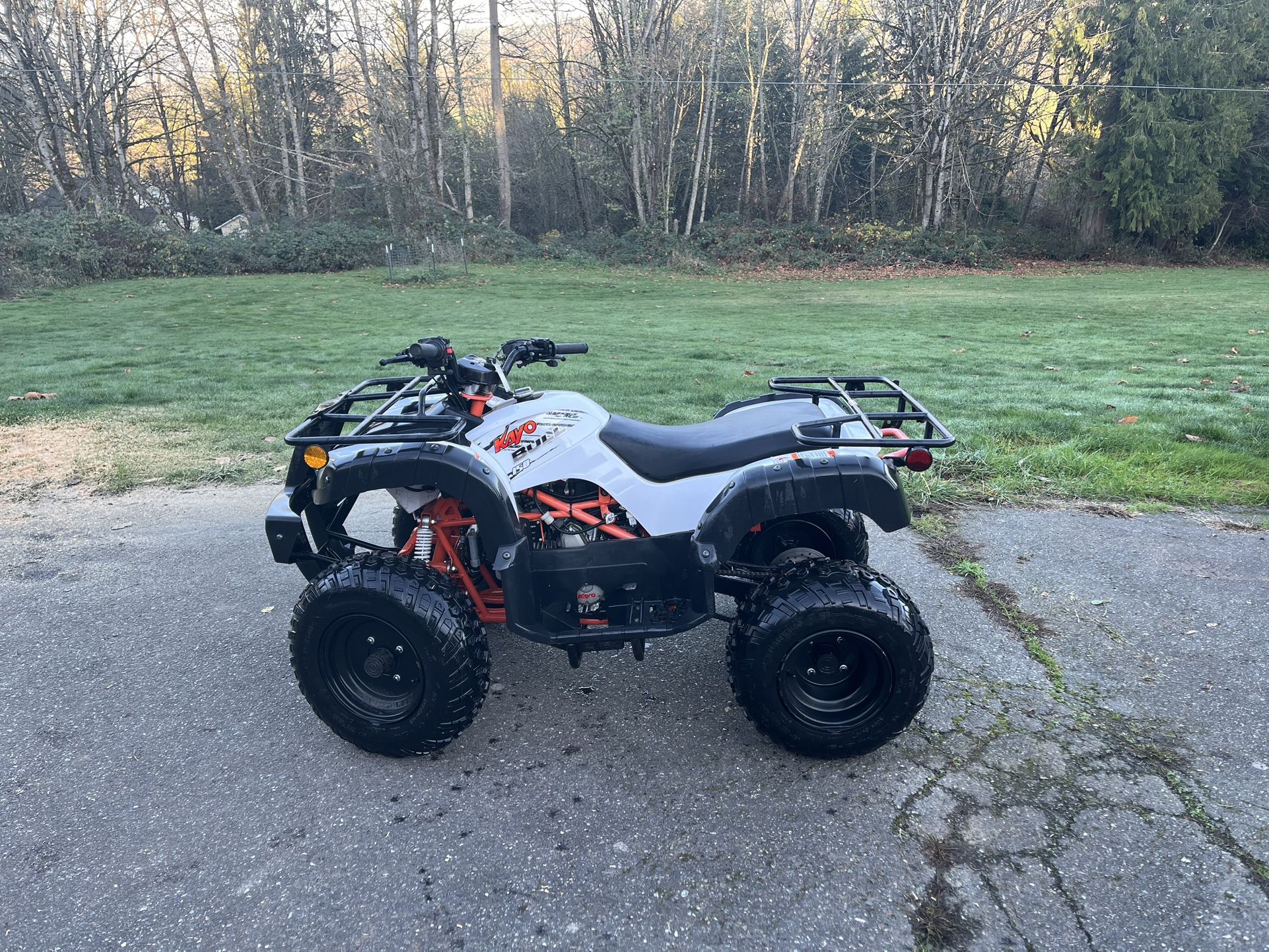 2021 Kayo Bull 150 Quad