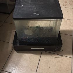 10 Gal Waterfall Fish tank 