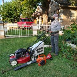 Corto Pasto Por 30 Dollar  O Depende El Lugar