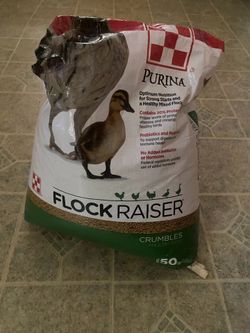 Free flock raiser pet food