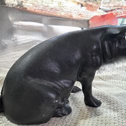 Cast Iron Pig Doorstop/Piggybank