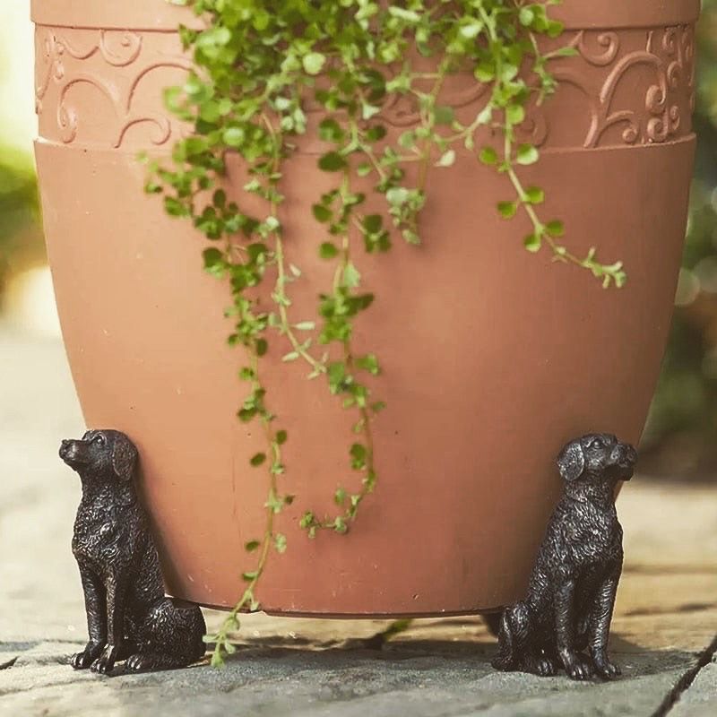 Dog - Pot Risers