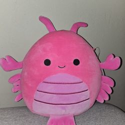 Squishmallow Cordea 