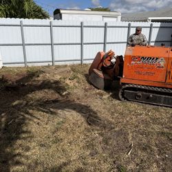 Stumps grinder Palms and trees