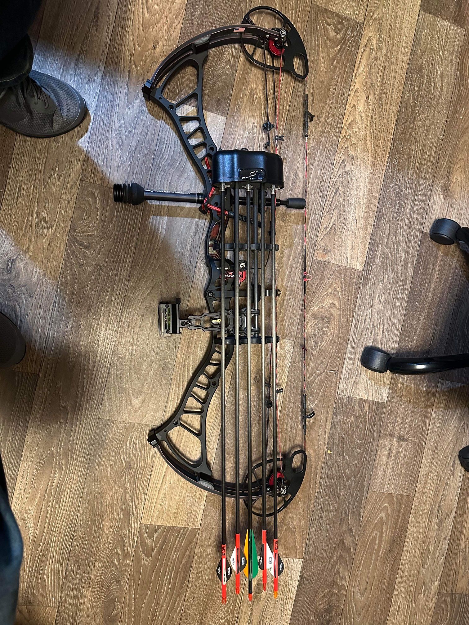 Bowtech Insanity Cpxl 