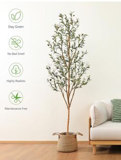 Tree 7feet New