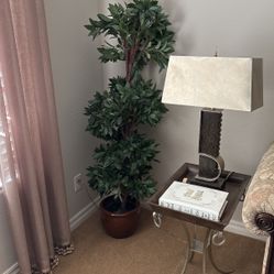 Topiary Silk tree