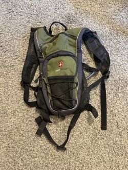 Swiss gear Camelback