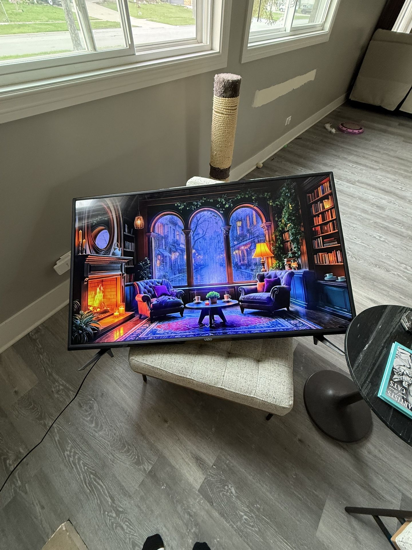 Vizio 50 Inch TV
