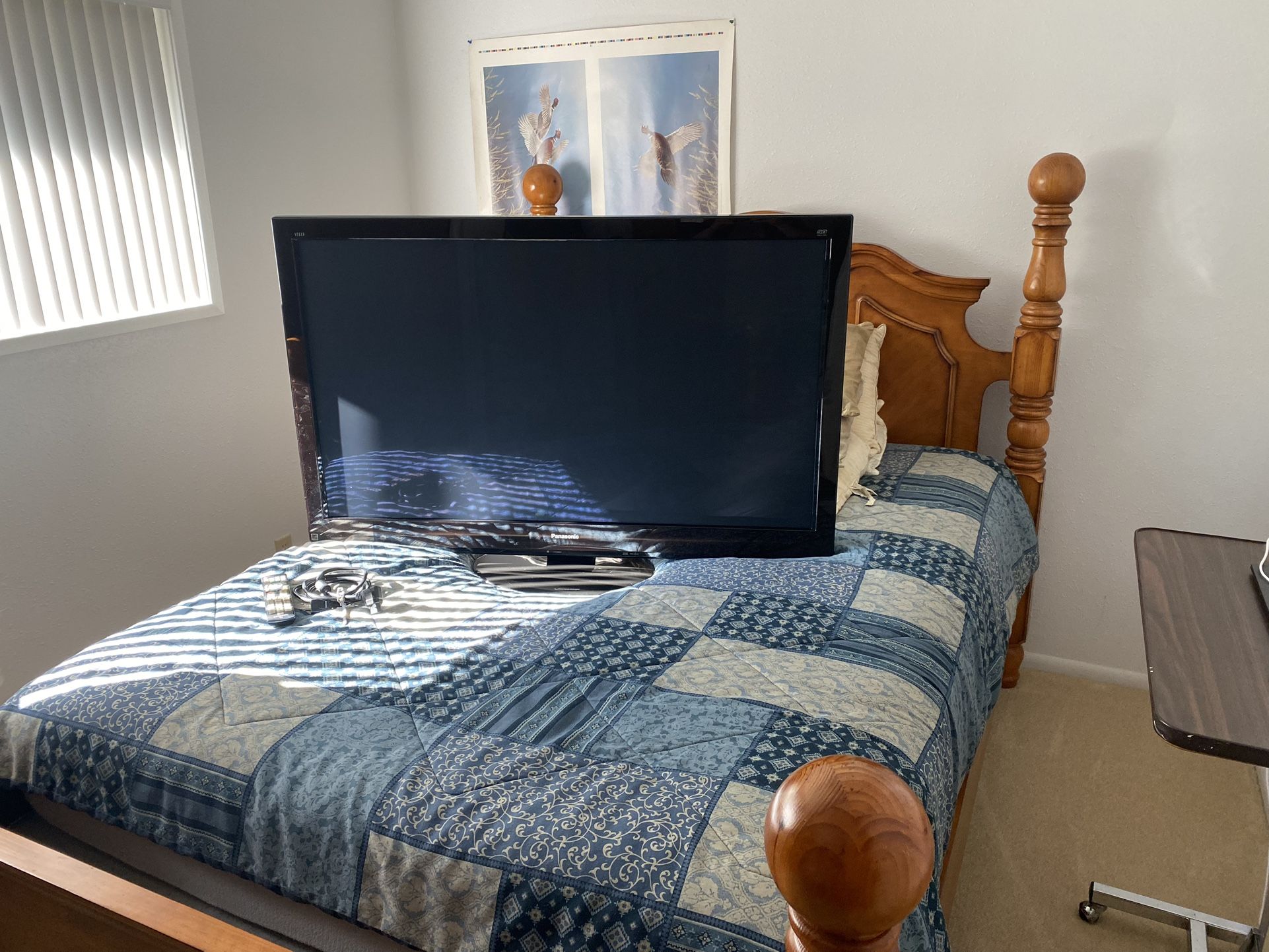 50” Plazma