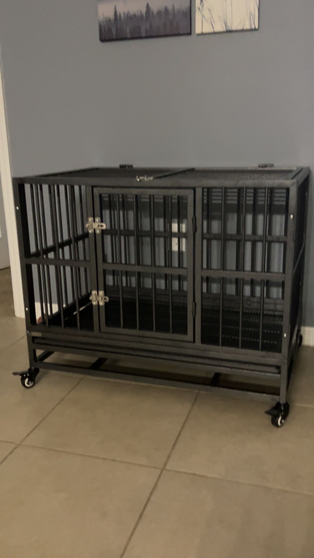 Dog Cage 36 By 24in 