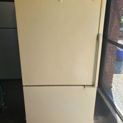 Refridgerator ( Bottom Freezer )