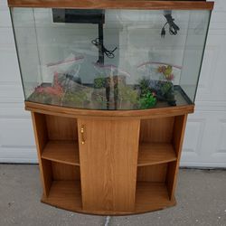 Complete Setup 46 Gallon Bowfront Aquarium & Stand 