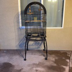 Bird Cage 