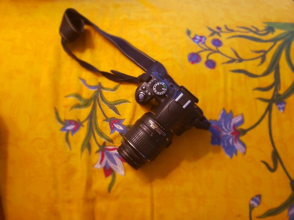 Nikon D3100