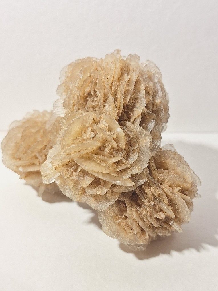 Gypsum A Major Rock Forming Mineral/Crystal