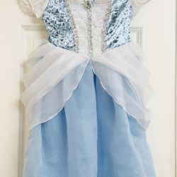 7 Disney Princess Dresses With Shoes (Size 5T)