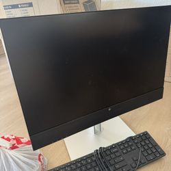 HP Monitor 