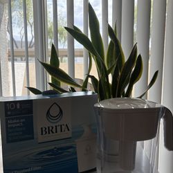Brita Pitcher And Filters