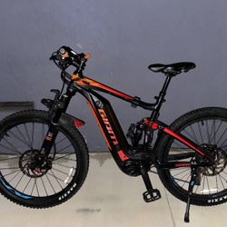 Electric Bike