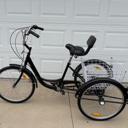 Adult Tricycle 