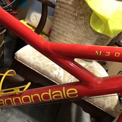 Cannondale M300, 14” / 35.5cm Frame