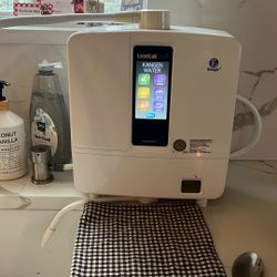 Kangen Alkaline Filter