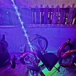 Mobo Kids Tricycle Customized 