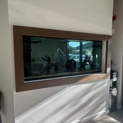 200 gallon Fish Tank with all equipment WORKING & 3 Fish OBO