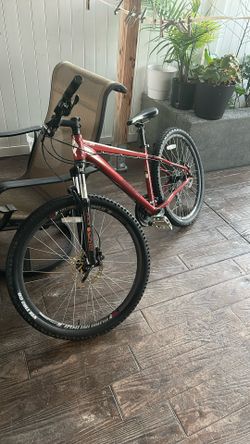 Adult Bicycle