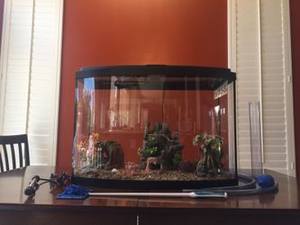 Seaclear bowfront aquarium combo 2025