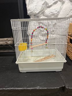 Bird carrier for small bird.