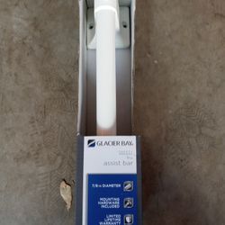 Glacier Bay 9 Inch Assist Bar