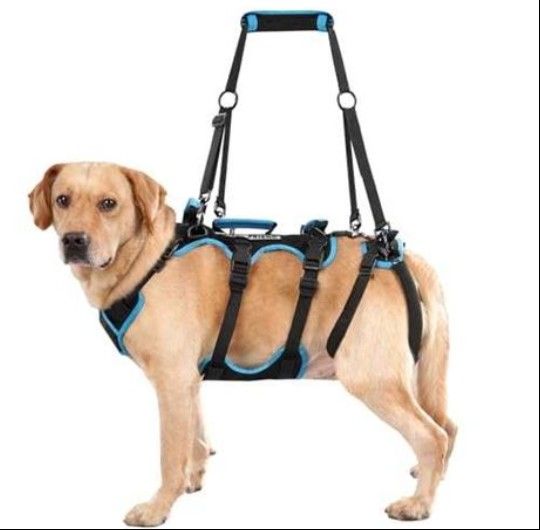 Dog Lift Harness For Large Dog NEW 