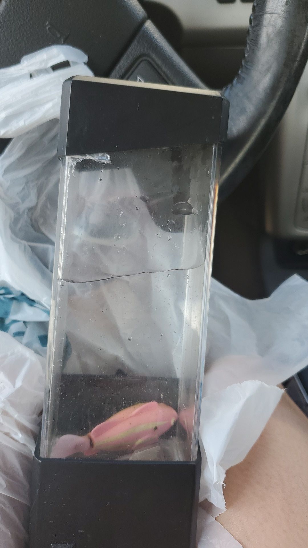 Light up fish tank