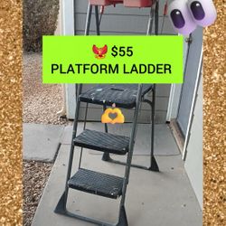 🐦‍🔥  PLATFORM LADDER 