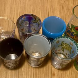 Lot of 11 Various States Shot Glasses