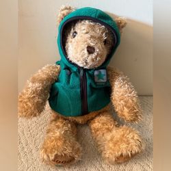 Limited edition, Gund teddy bear wish bear green hoodie 2001 Y2K
