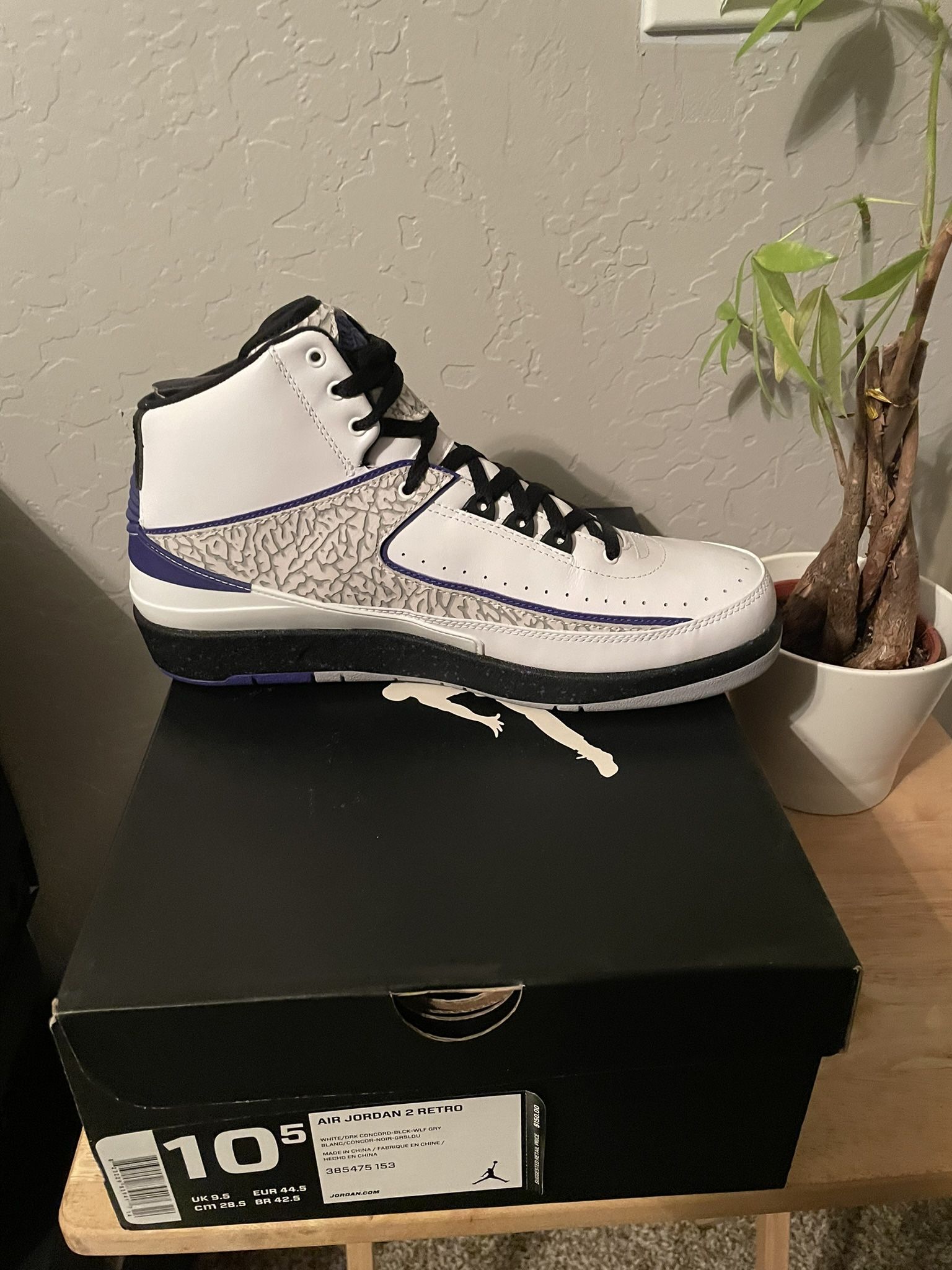 Size 10.5 - Air Jordan 2 Retro Concord NEW DS!!
