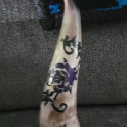 Painted Horn
